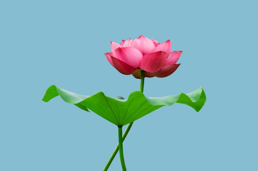 儿童火车票怎么购买 怎么开发票?